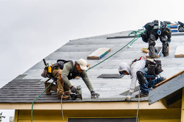 Professional Roofing technician working in Drakesville, IA